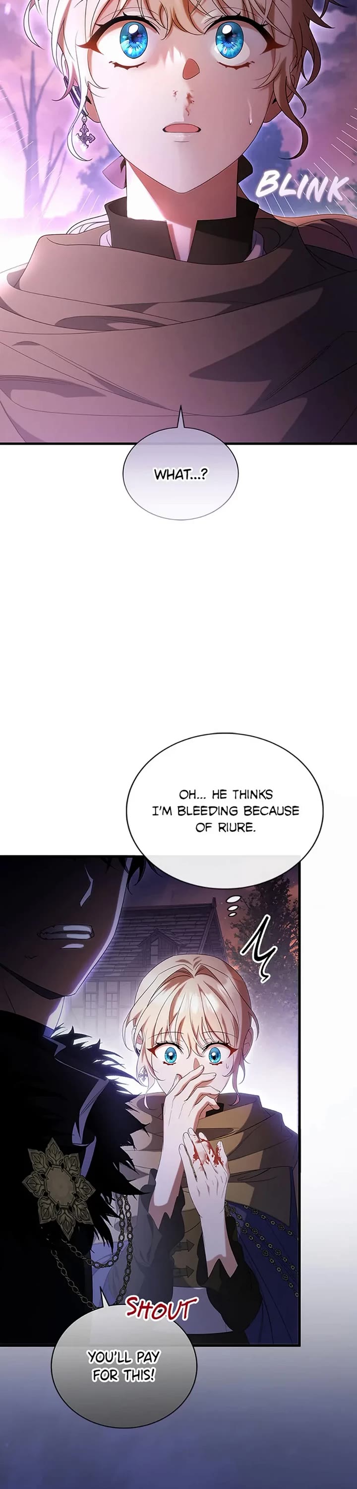 The Hero's Savior Chapter 69 page 17 - Chapter 69