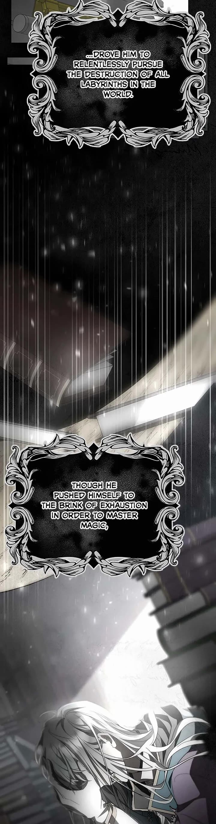 The Hero's Savior Chapter 78 page 14 - Chapter 78