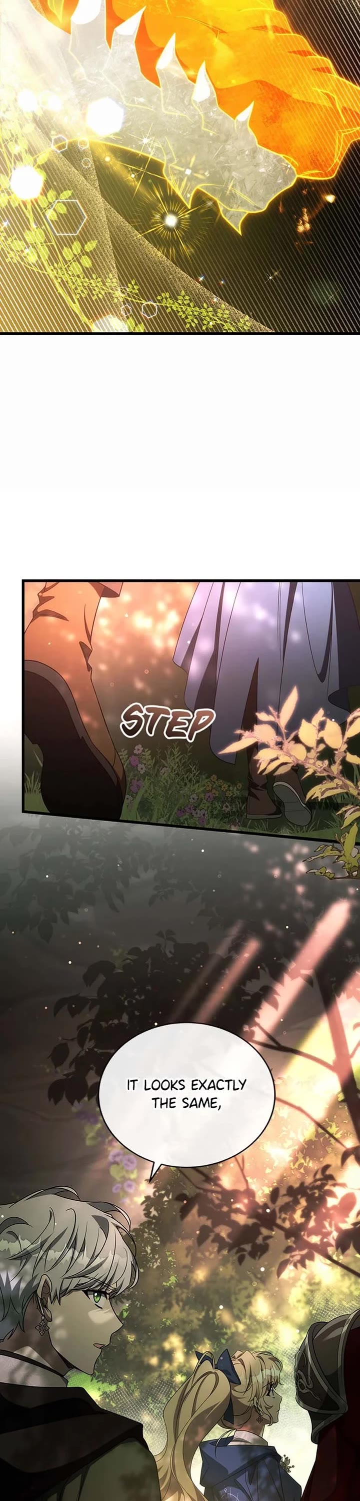 The Hero's Savior Chapter 93 page 12 - Chapter 93