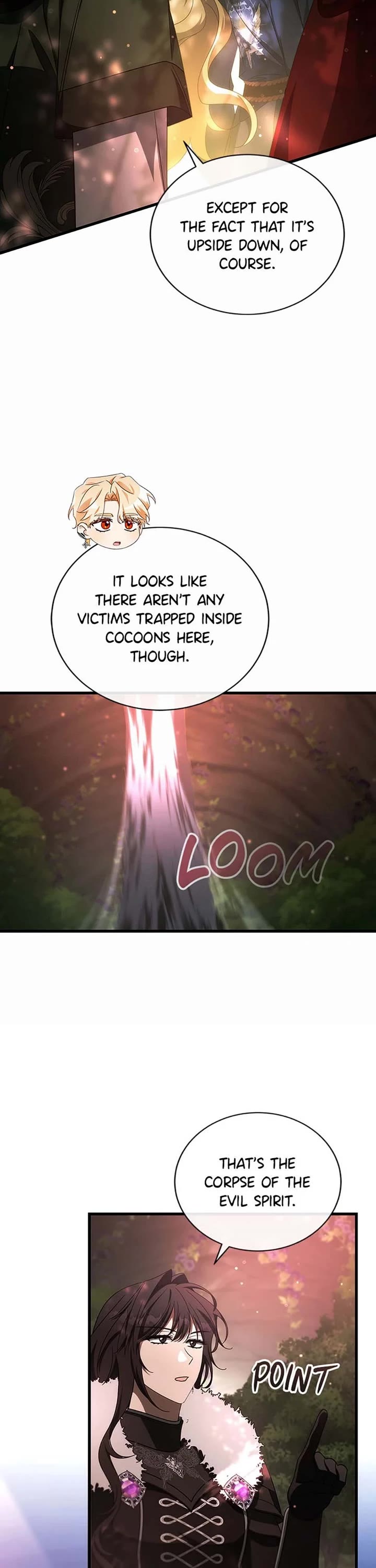 The Hero's Savior Chapter 93 page 13 - Chapter 93