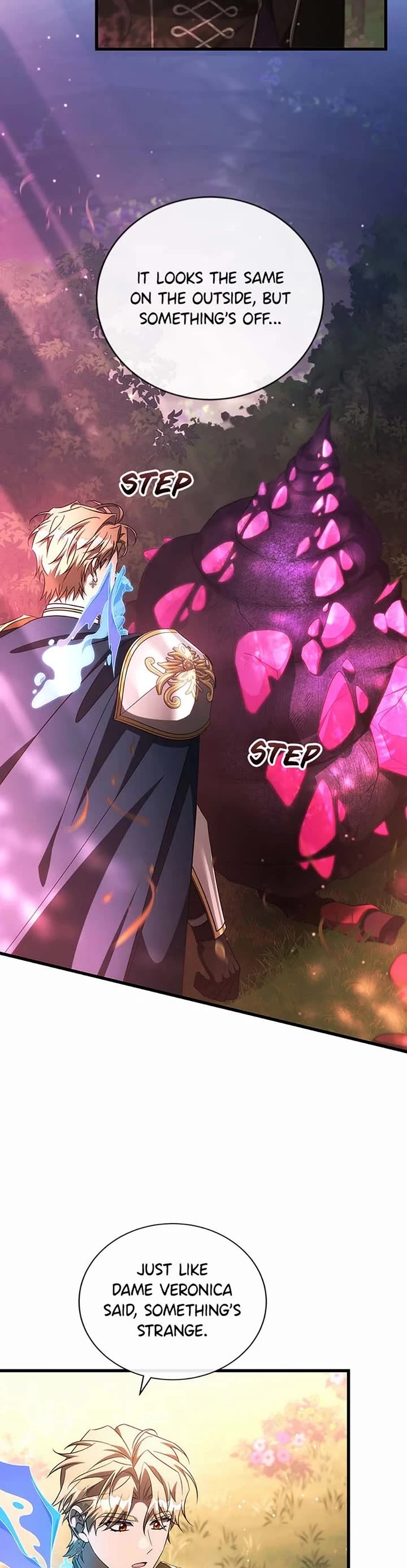 The Hero's Savior Chapter 93 page 14 - Chapter 93
