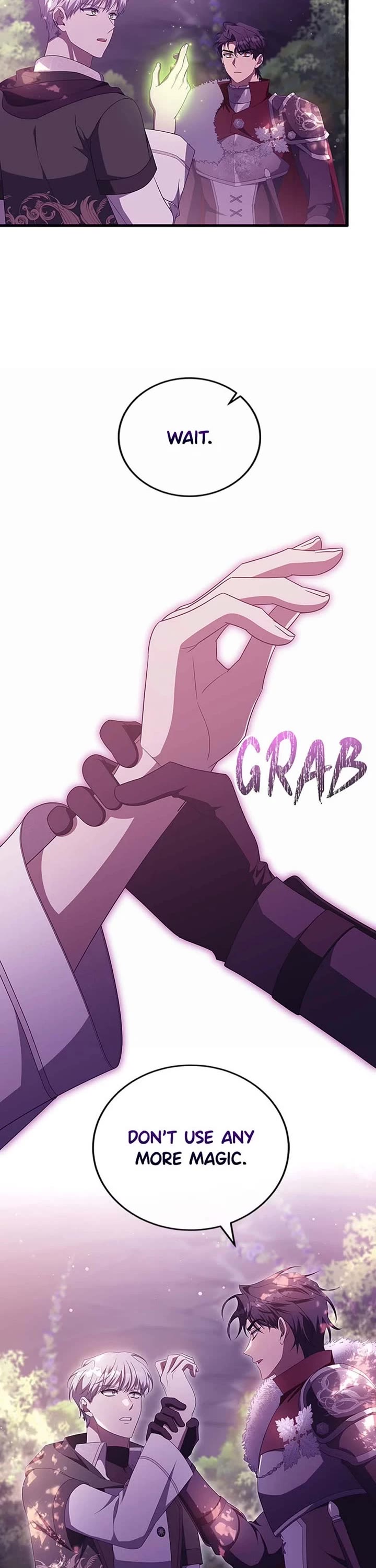 The Hero's Savior Chapter 95 page 27 - Chapter 95