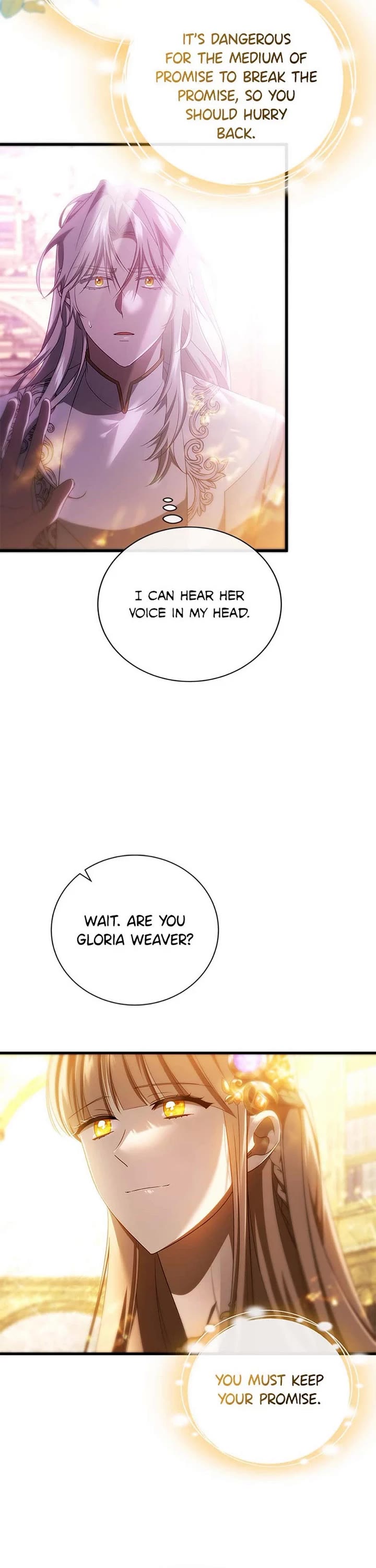 The Hero's Savior Chapter 96 page 17 - Chapter 96