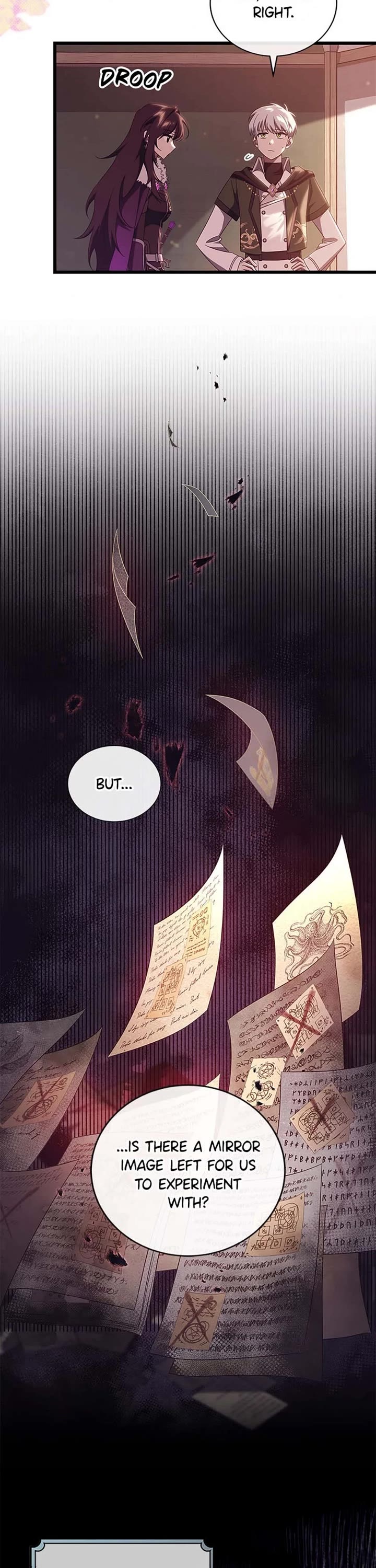 The Hero's Savior Chapter 97 page 28 - Chapter 97
