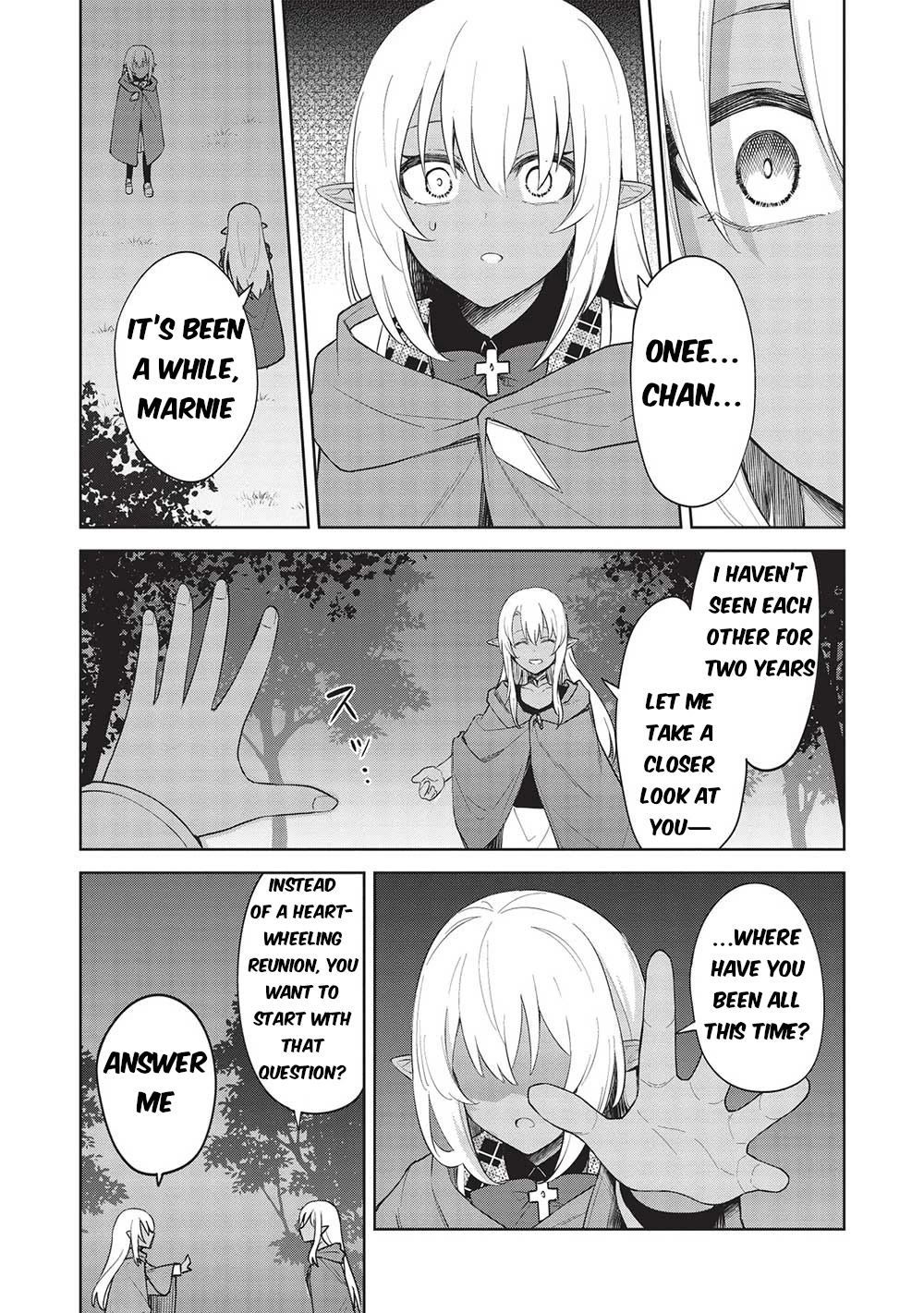 The holy knight's dark road Chapter 27 page 17 - Chapter 27