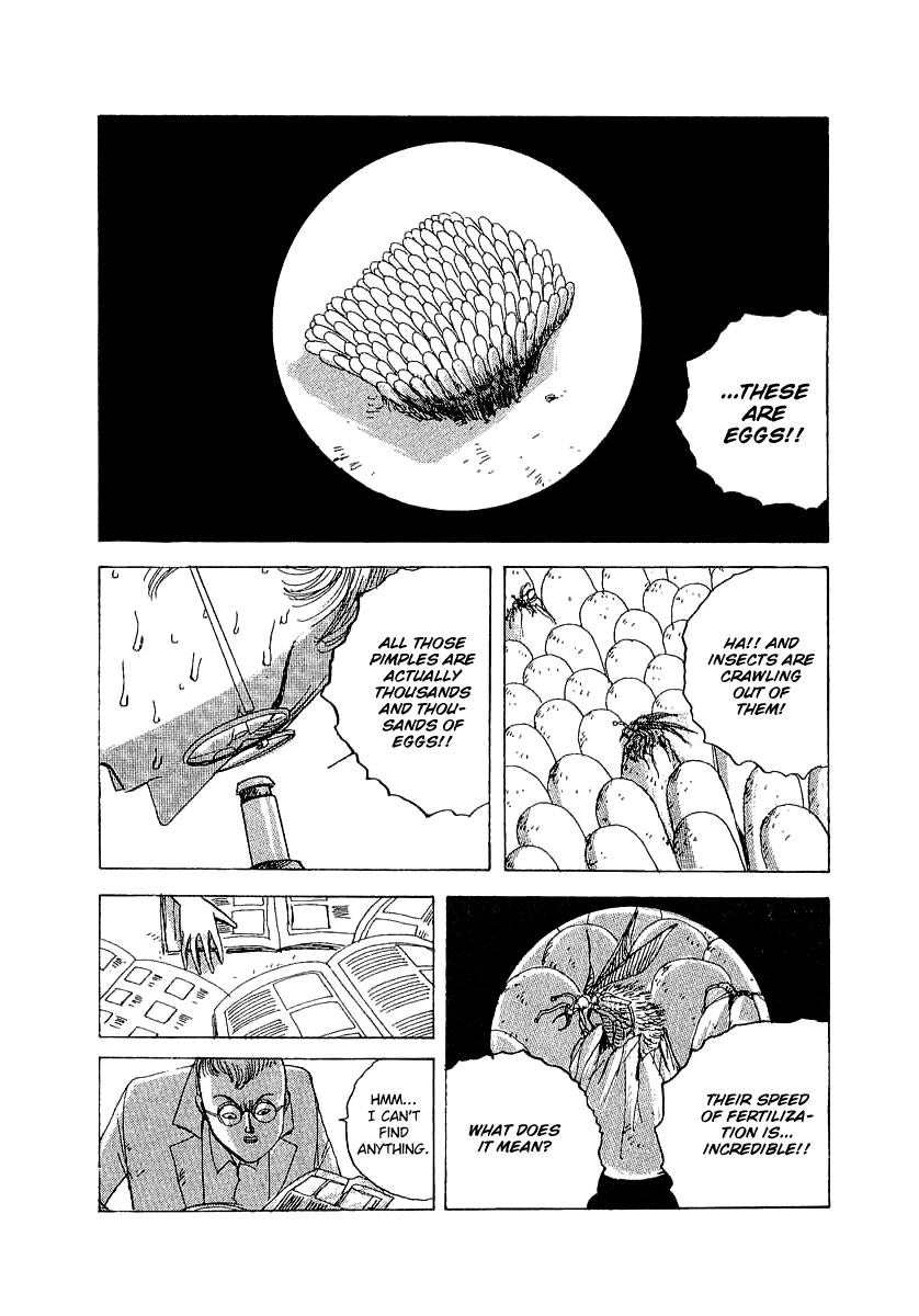 The Horror Mansion Chapter 22 page 17 - Chapter 22: Insects