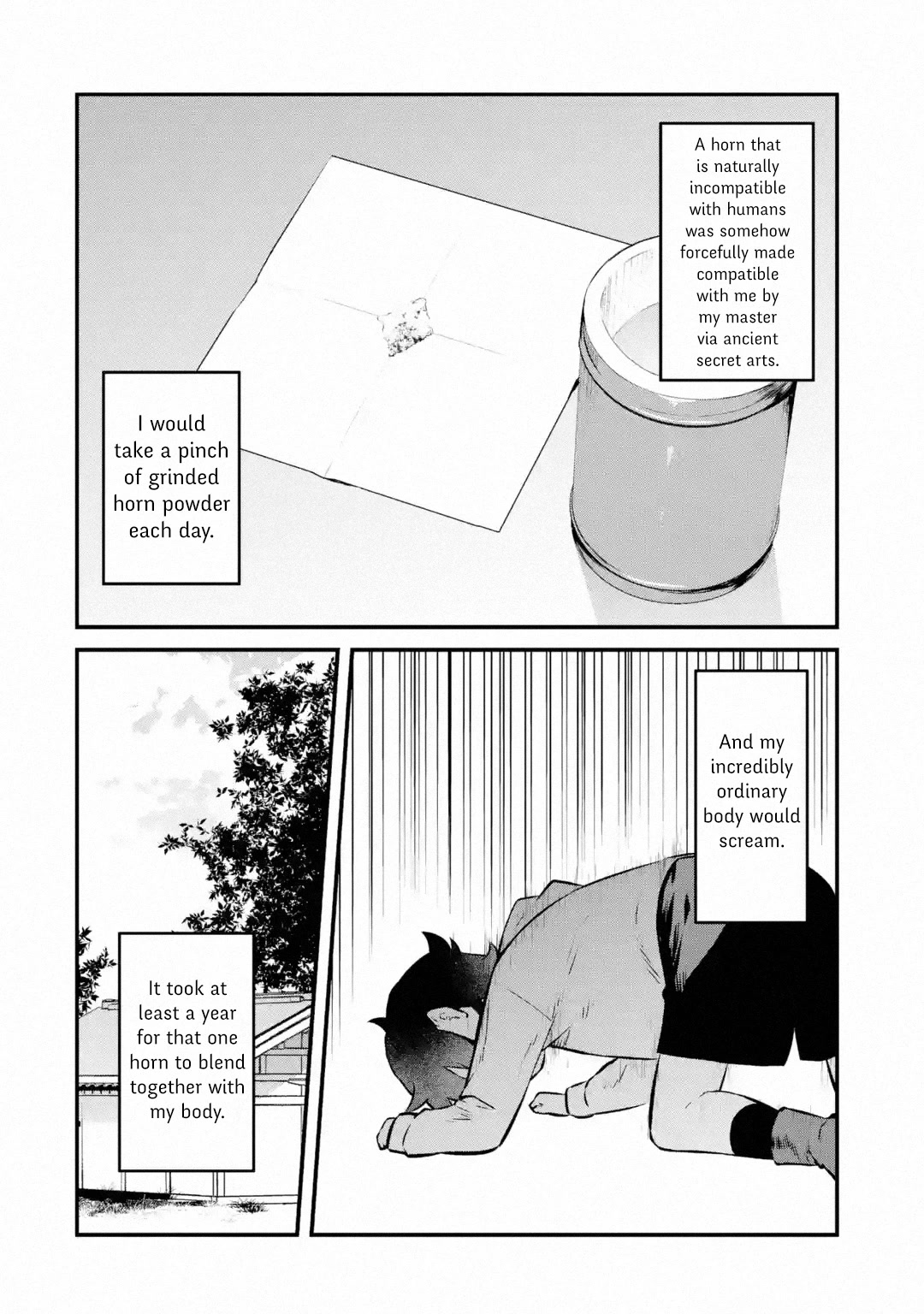 The Impregnable Demon King's Castle and the Expelled Black Mage of the Hero's Party Chapter 21 page 6 - Chapter 21: For The Hero I Admired That Day -2-