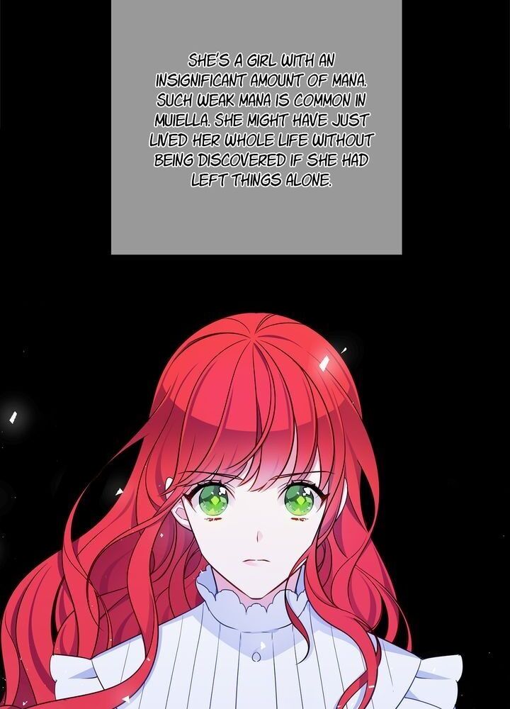 The Investigator of Mueller Chapter 109 page 30 - Chapter 109