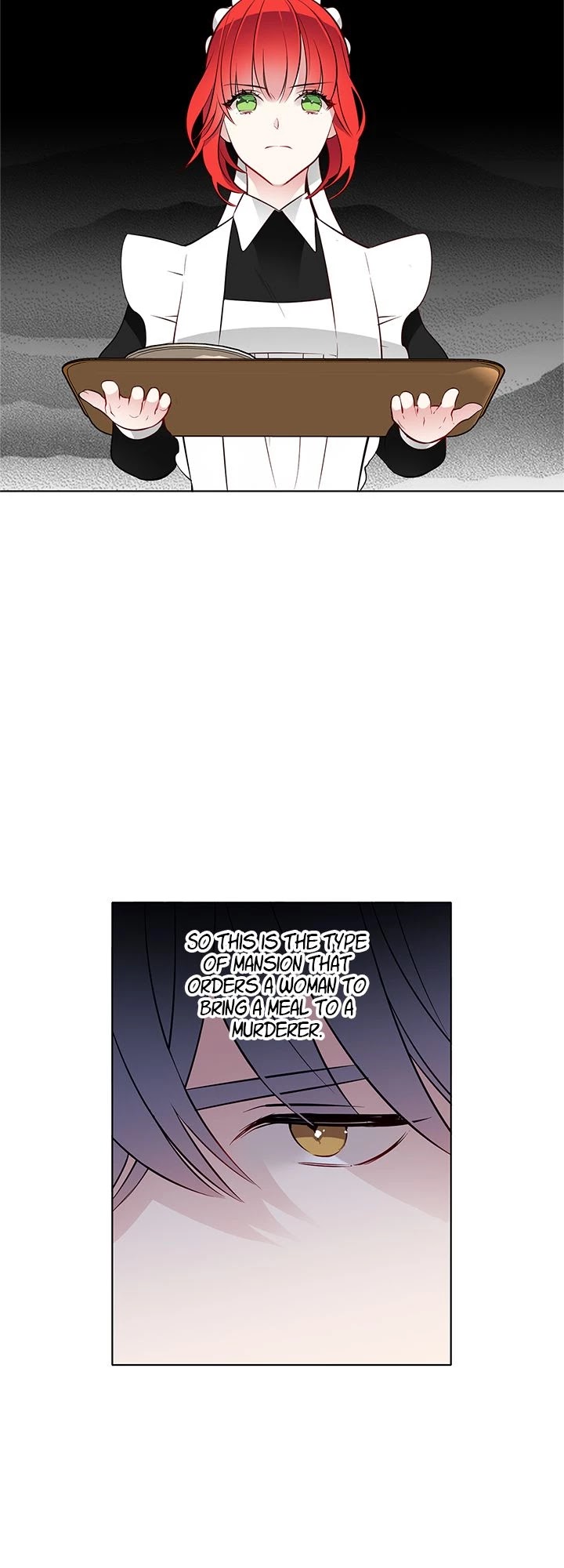The Investigator of Mueller Chapter 25 page 27 - Chapter 25