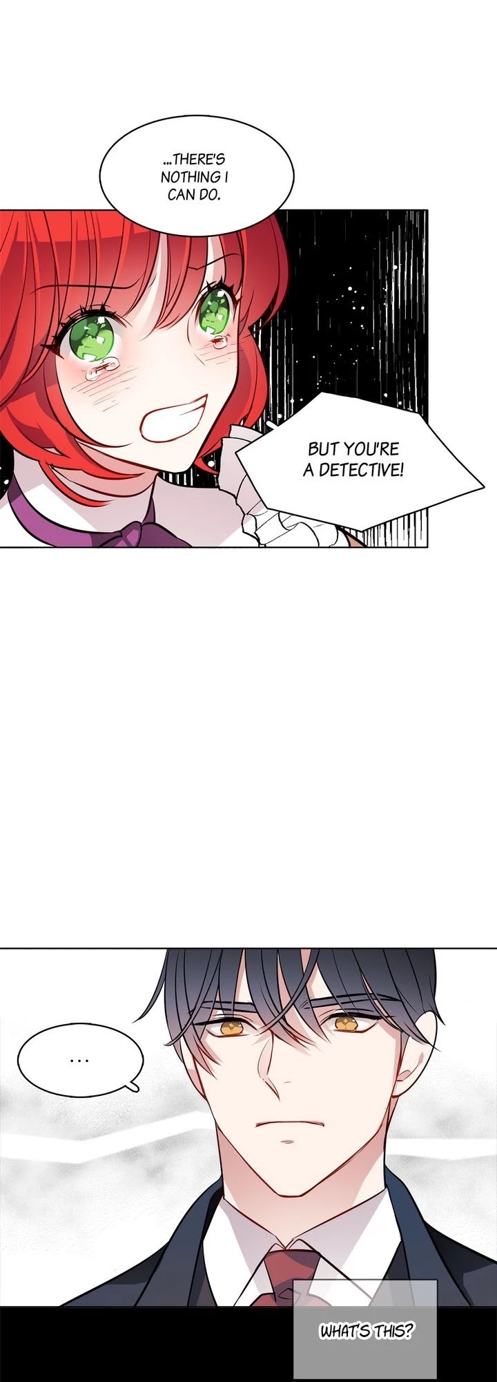 The Investigator of Mueller Chapter 49 page 17 - Chapter 49