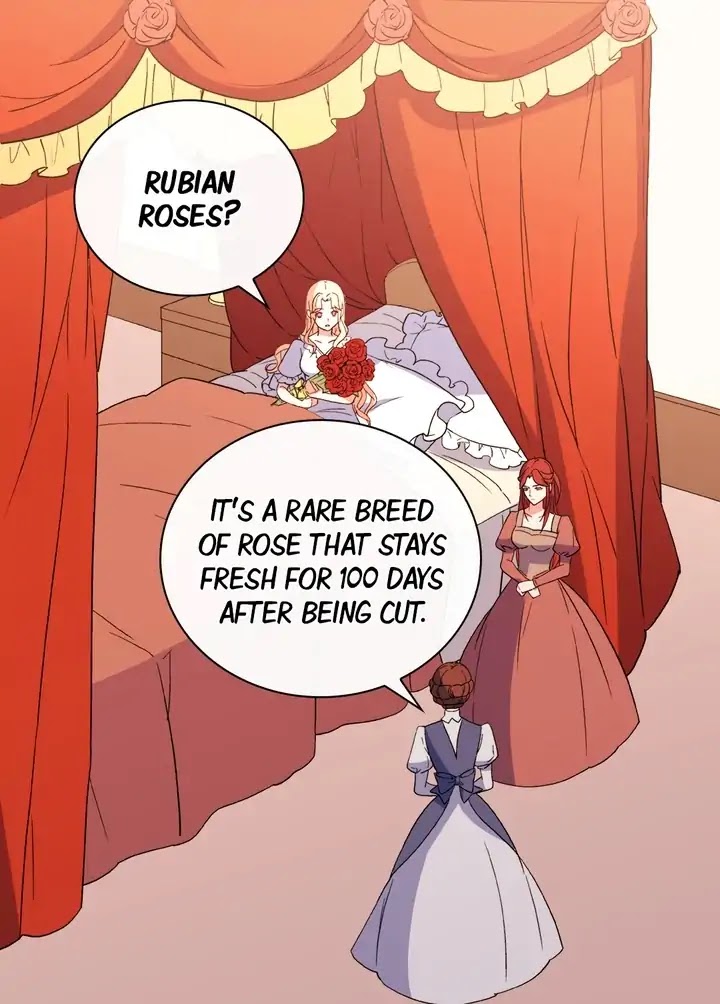 The Justice of Villainous Woman Chapter 35 page 16 - Chapter 35