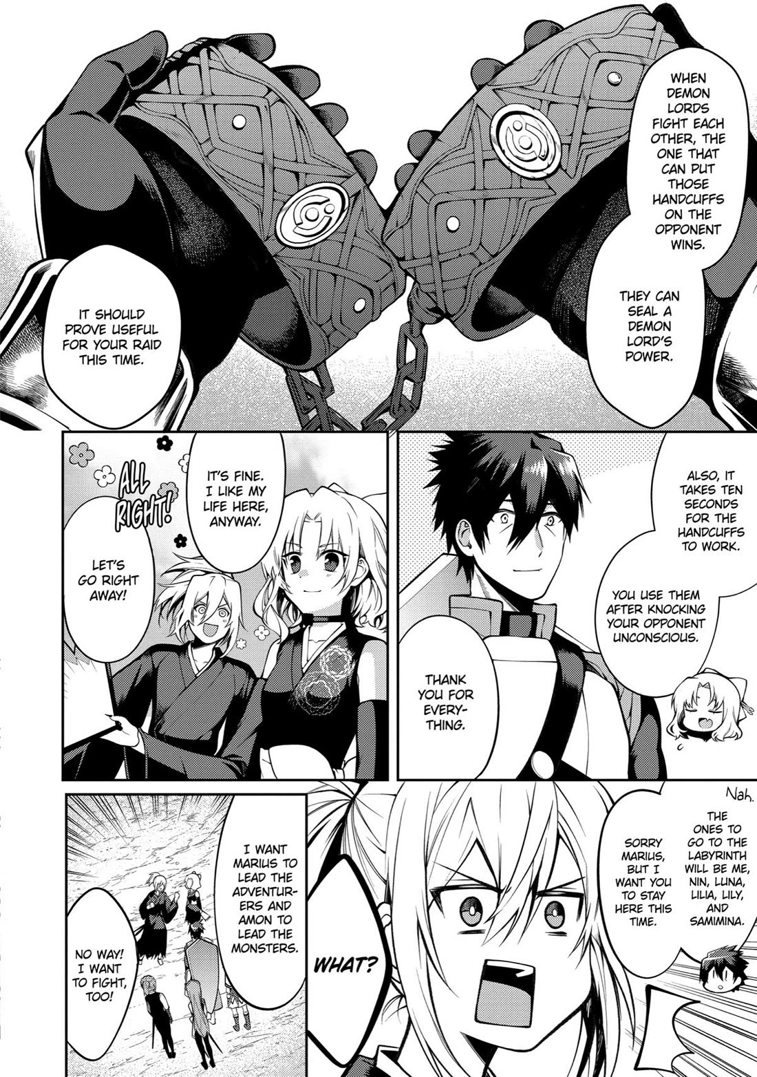 The Labyrinth Raids of the Ultimate Tank ~The Tank Possessing a Rare 9,999 Endurance Skill was Expelled from the Hero Party~ Chapter 27 page 4 - Chapter 27