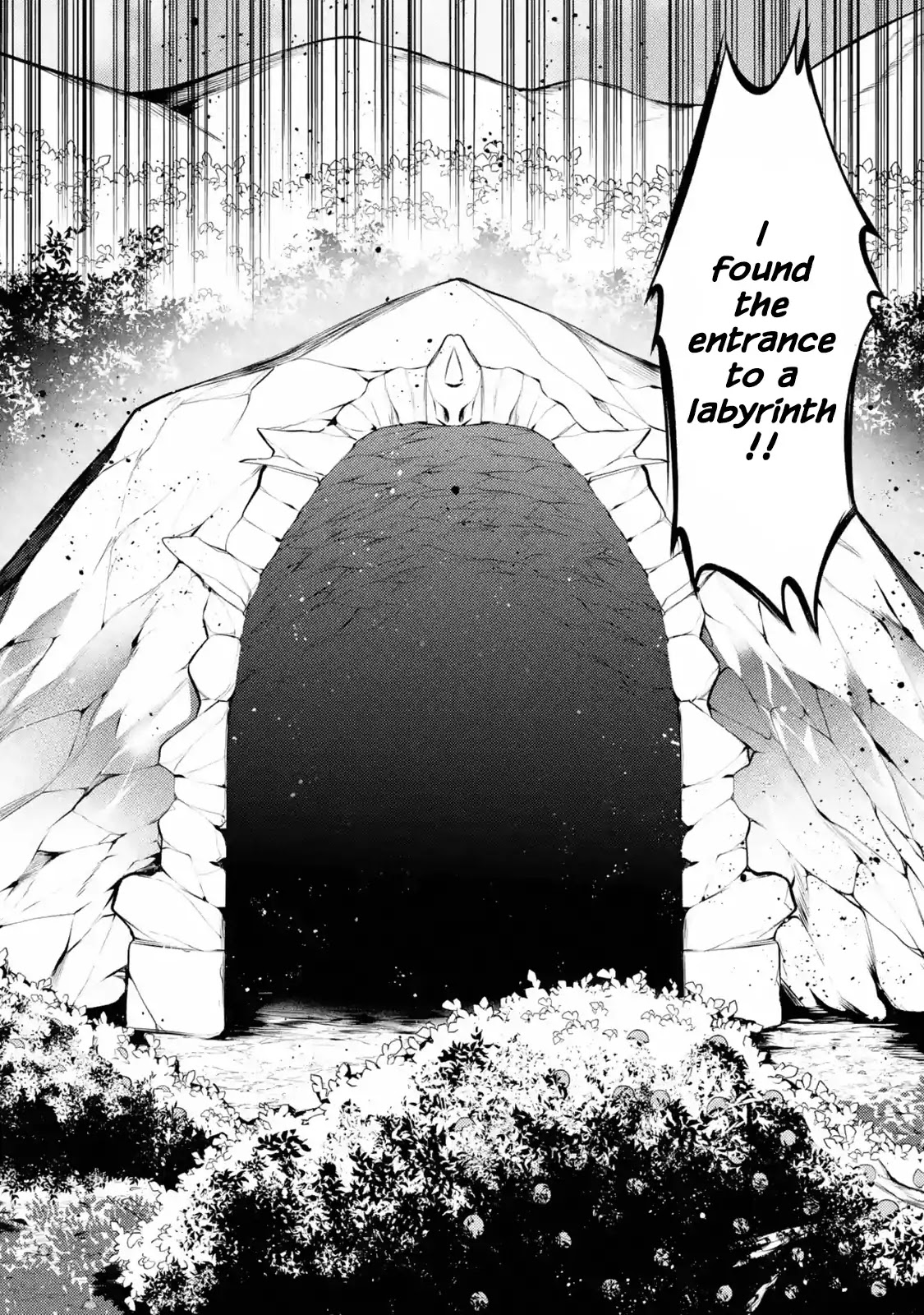 The Labyrinth Raids of the Ultimate Tank ~The Tank Possessing a Rare 9,999 Endurance Skill was Expelled from the Hero Party~ Chapter 7.1 page 50 - Chapter 7.1 - 7.4: Chameleon Kong
