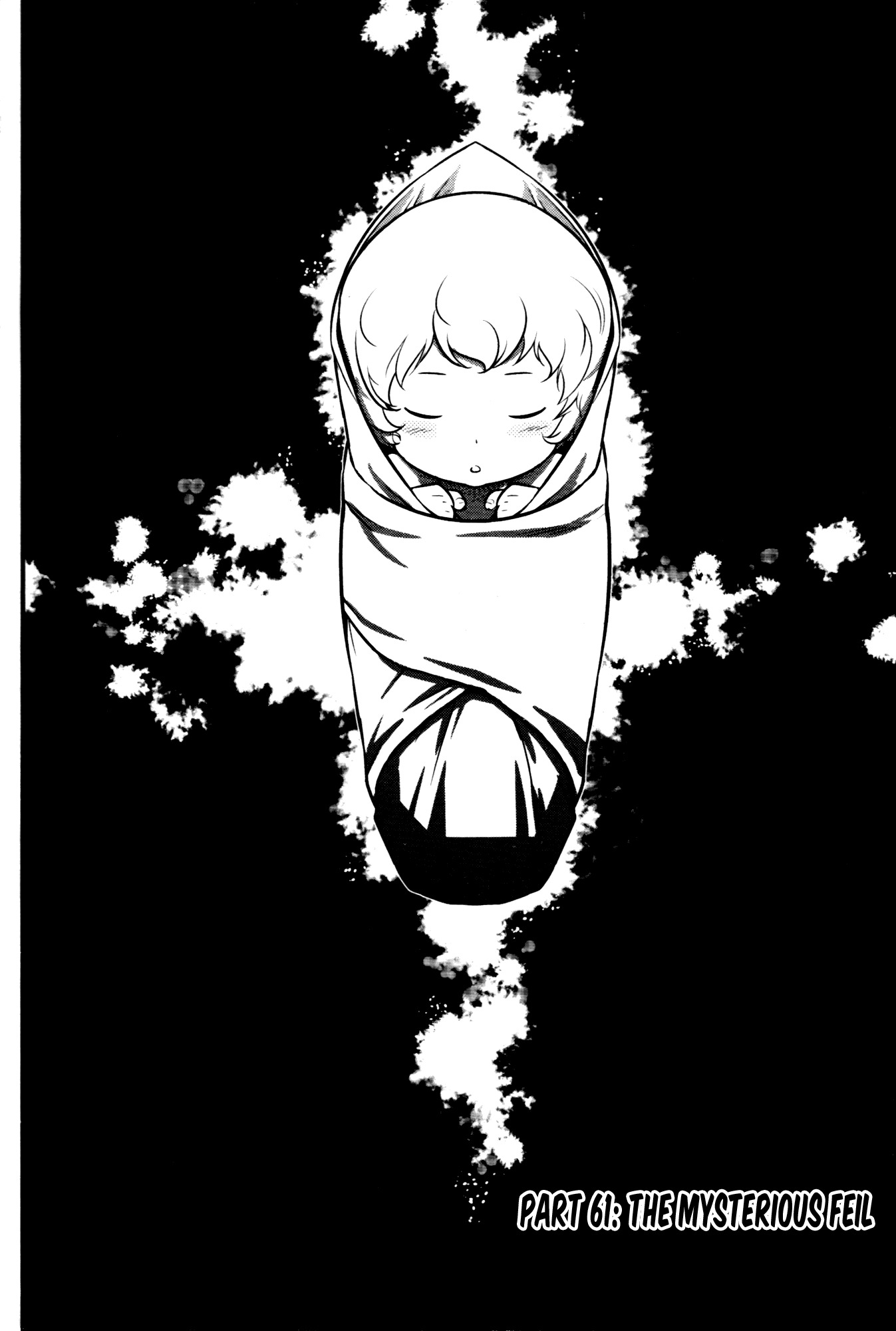 The Legend of Maian Chapter 61 page 1 - Chapter 61: The Mysterious Feil