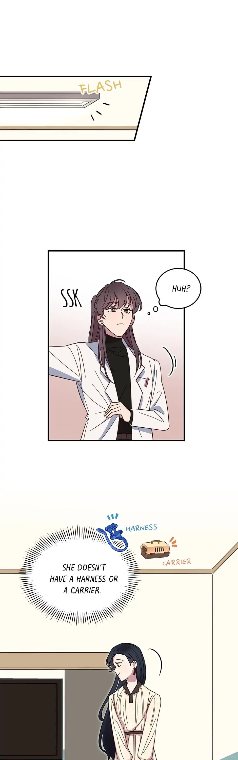The Legendary Beasts Animal Hospital Chapter 1 page 21 - Chapter 1: Do Dragons Count As Reptiles?