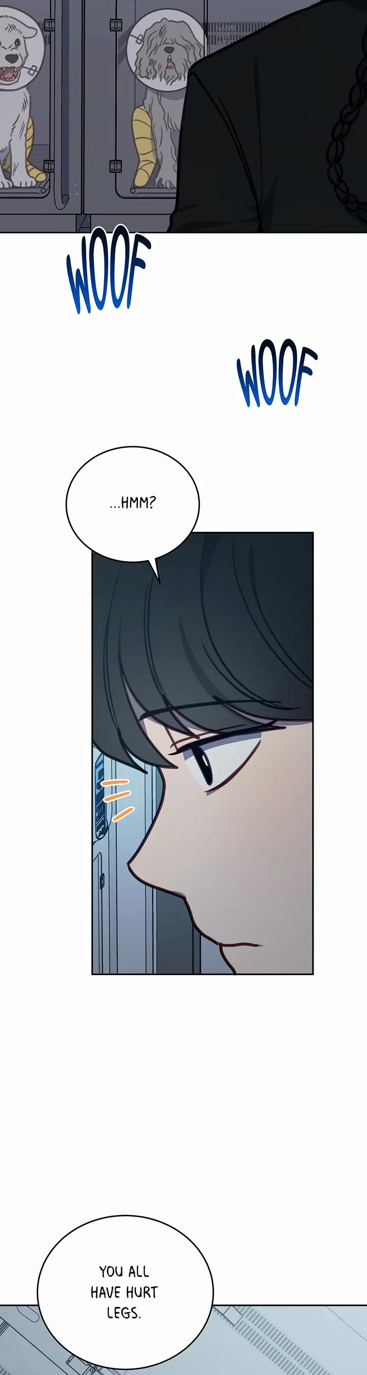 The Legendary Beasts Animal Hospital Chapter 101 page 19 - Chapter 101: Stray Dogs