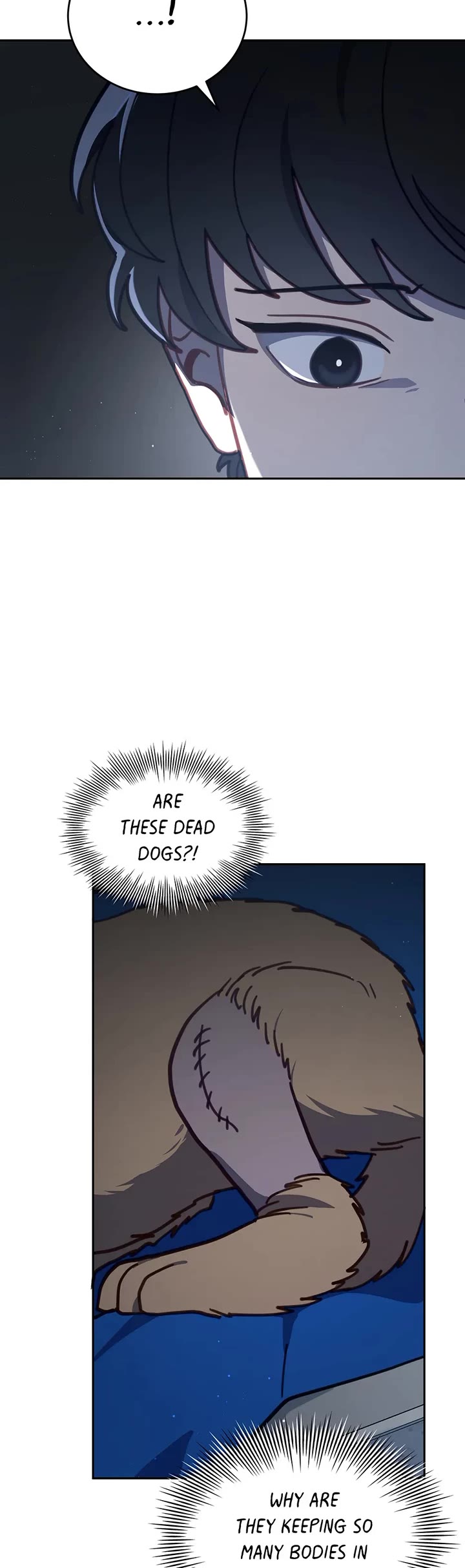 The Legendary Beasts Animal Hospital Chapter 101 page 25 - Chapter 101: Stray Dogs