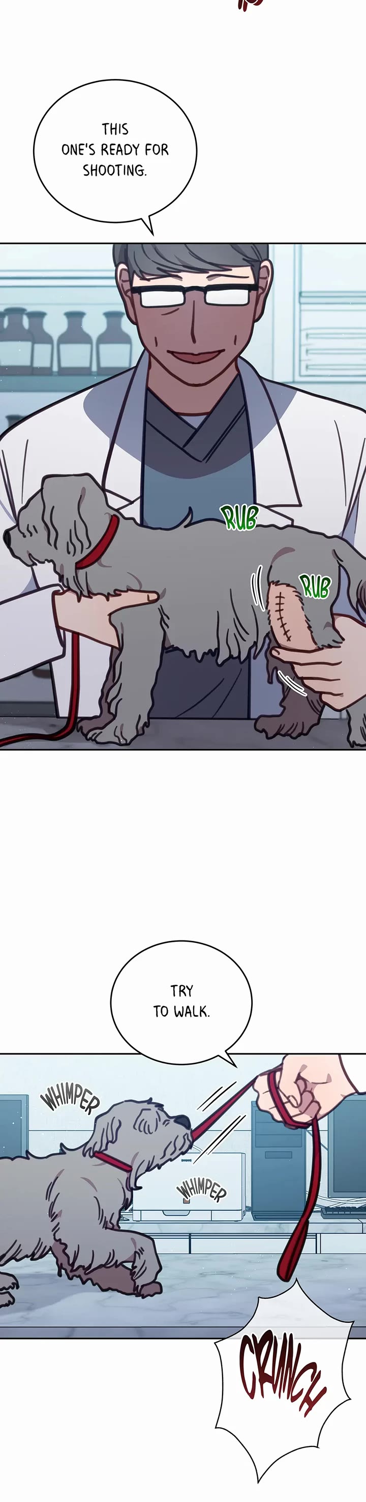 The Legendary Beasts Animal Hospital Chapter 101 page 30 - Chapter 101: Stray Dogs