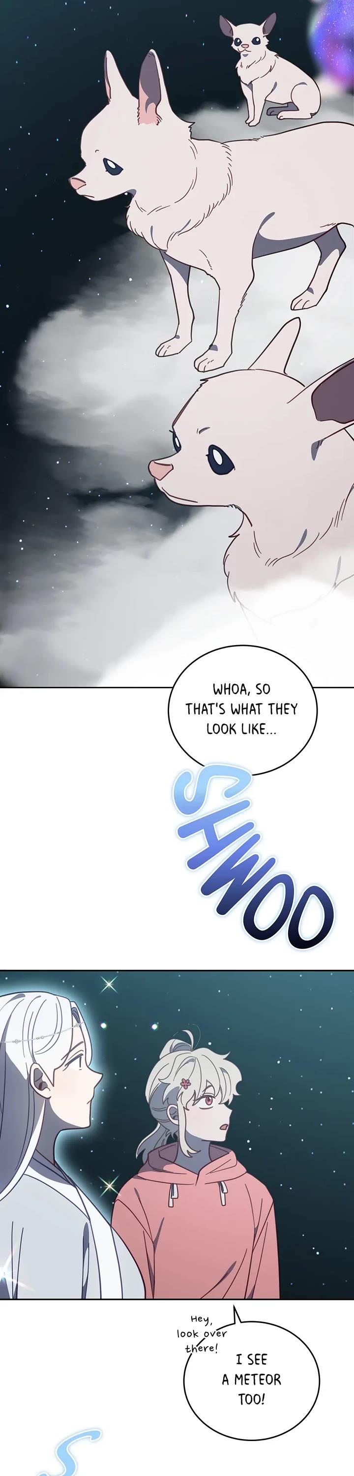 The Legendary Beasts Animal Hospital Chapter 114 page 26 - Chapter 114: Stargazing