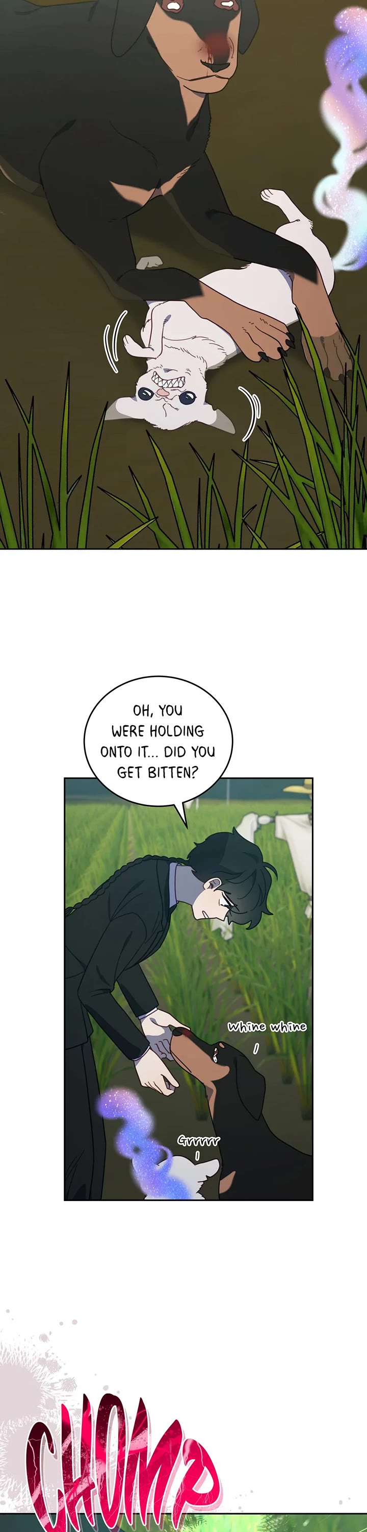 The Legendary Beasts Animal Hospital Chapter 115 page 28 - Chapter 115: The Break of Dawn
