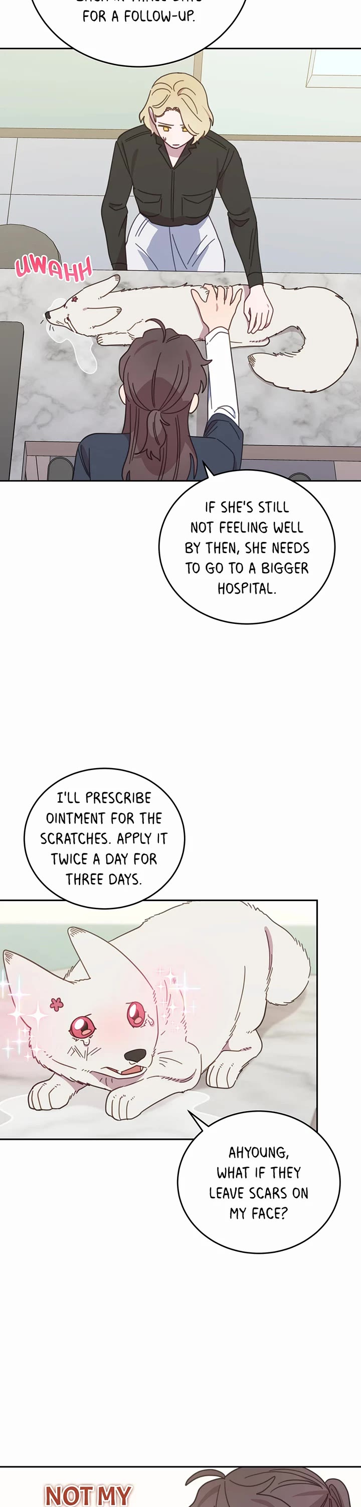 The Legendary Beasts Animal Hospital Chapter 116 page 13 - Chapter 116: Weekend Fees