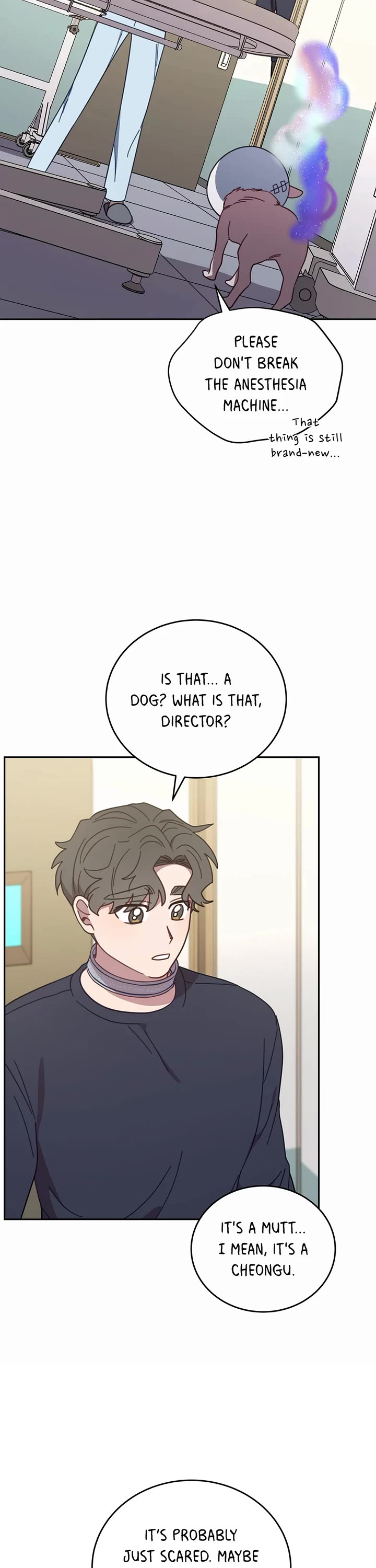 The Legendary Beasts Animal Hospital Chapter 116 page 23 - Chapter 116: Weekend Fees