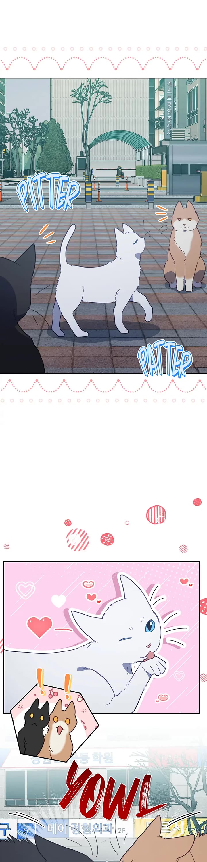 The Legendary Beasts Animal Hospital Chapter 118 page 1 - Chapter 118: Strays