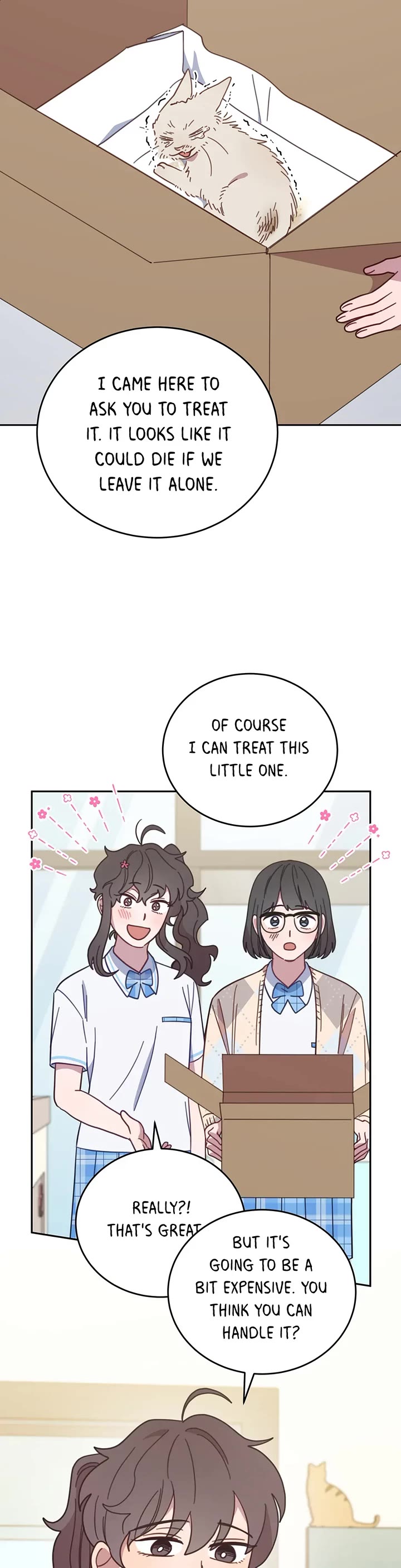 The Legendary Beasts Animal Hospital Chapter 118 page 15 - Chapter 118: Strays