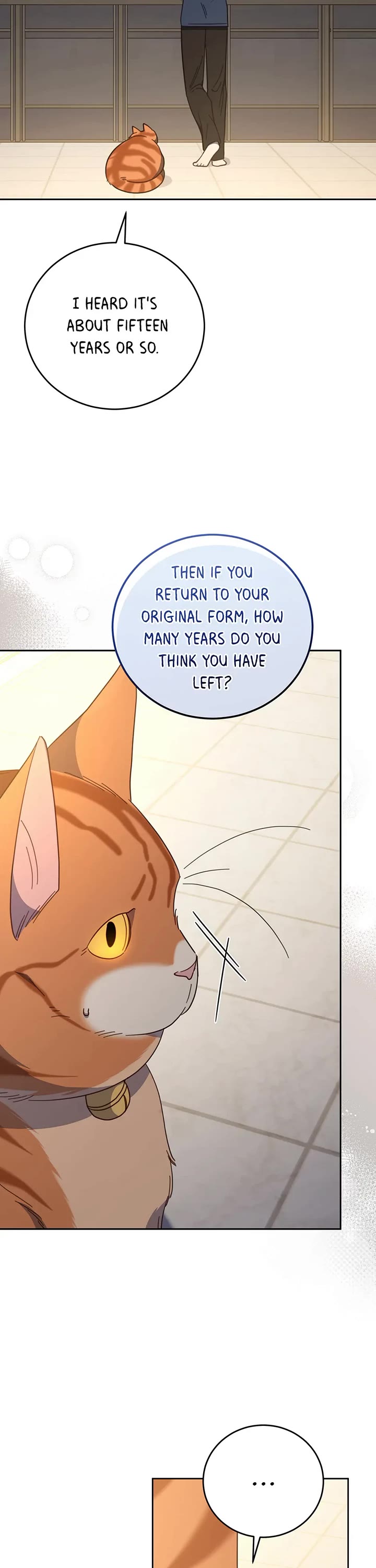 The Legendary Beasts Animal Hospital Chapter 129 page 36 - Chapter 129: Hostage Situation