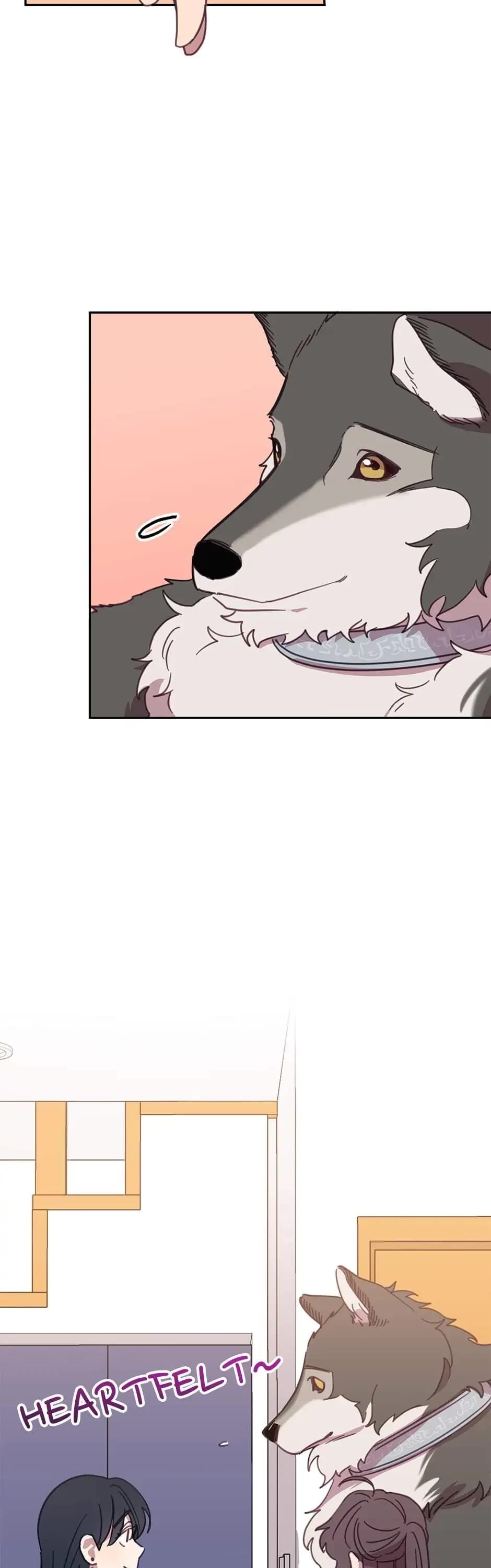 The Legendary Beasts Animal Hospital Chapter 14 page 28 - Chapter 14: The Transformation