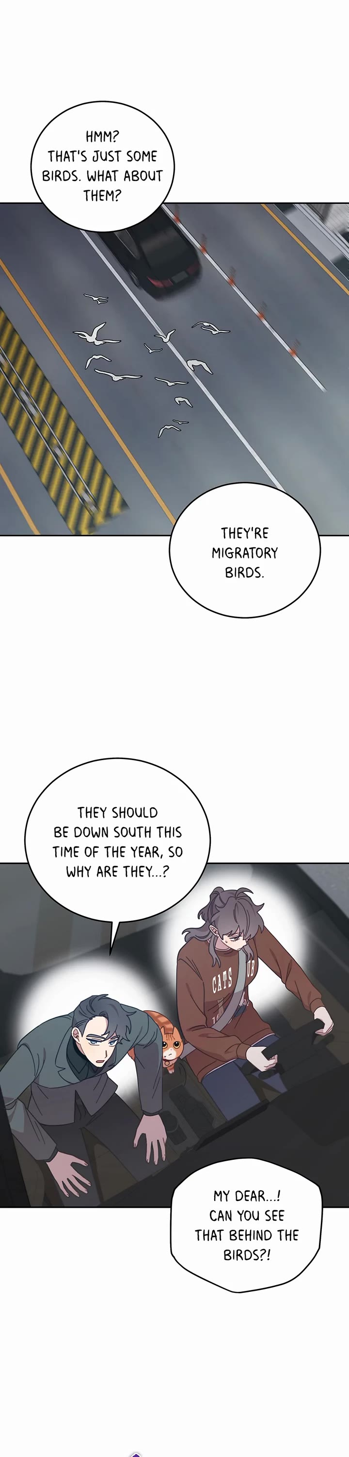 The Legendary Beasts Animal Hospital Chapter 140 page 11 - Chapter 140: The Fateful Guests