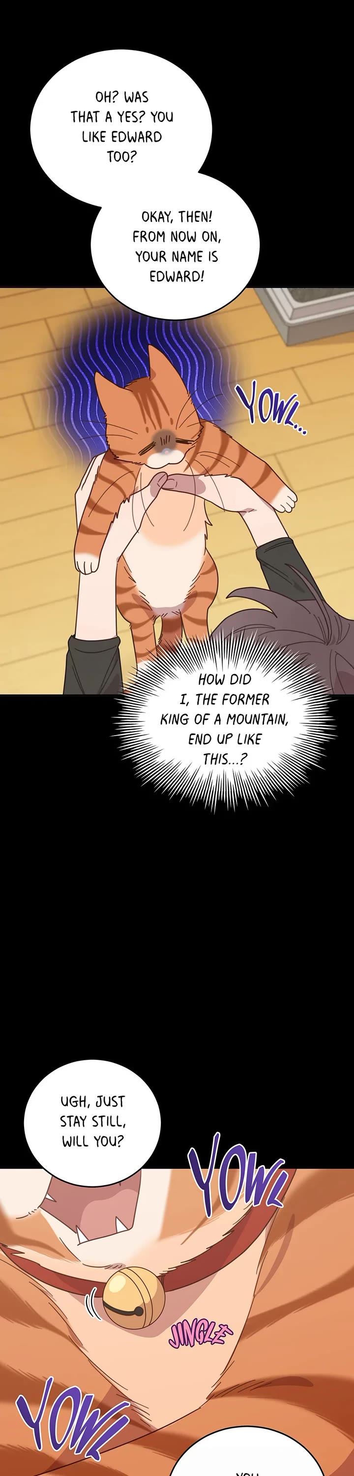 The Legendary Beasts Animal Hospital Chapter 149 page 8 - Chapter 149: The King of the Mountain