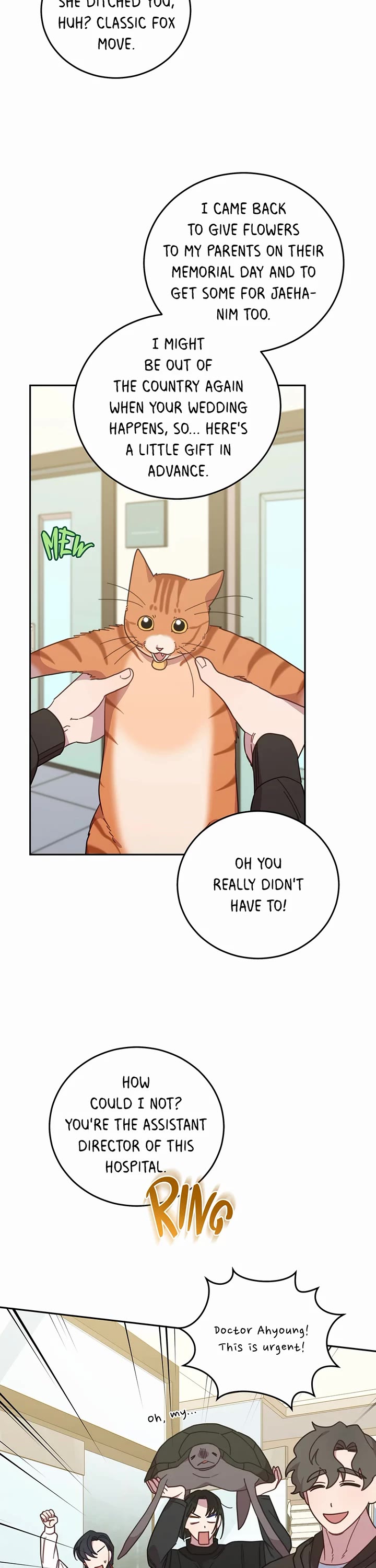 The Legendary Beasts Animal Hospital Chapter 150 page 11 - Chapter 150: Normal-ish