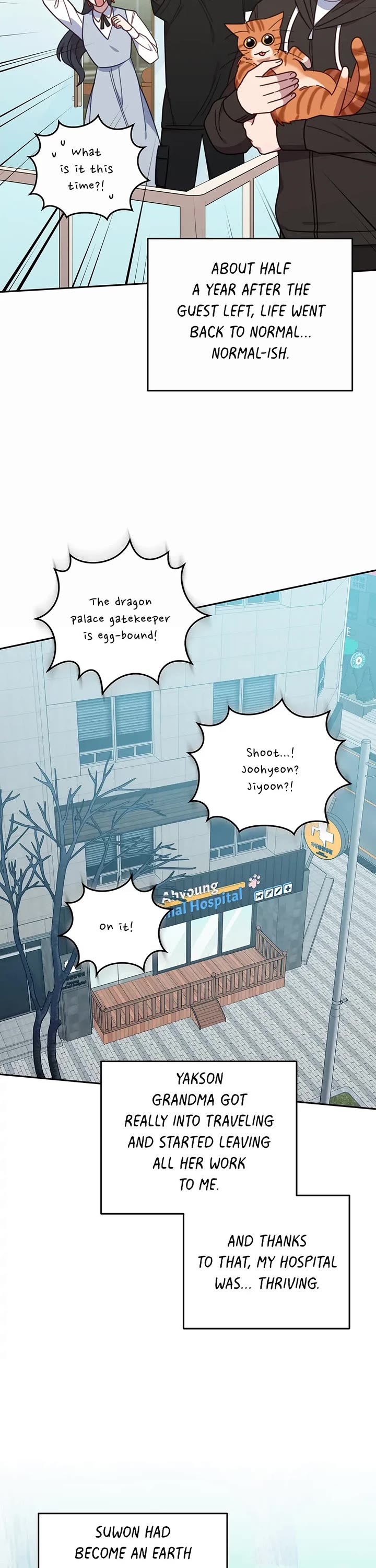 The Legendary Beasts Animal Hospital Chapter 150 page 12 - Chapter 150: Normal-ish