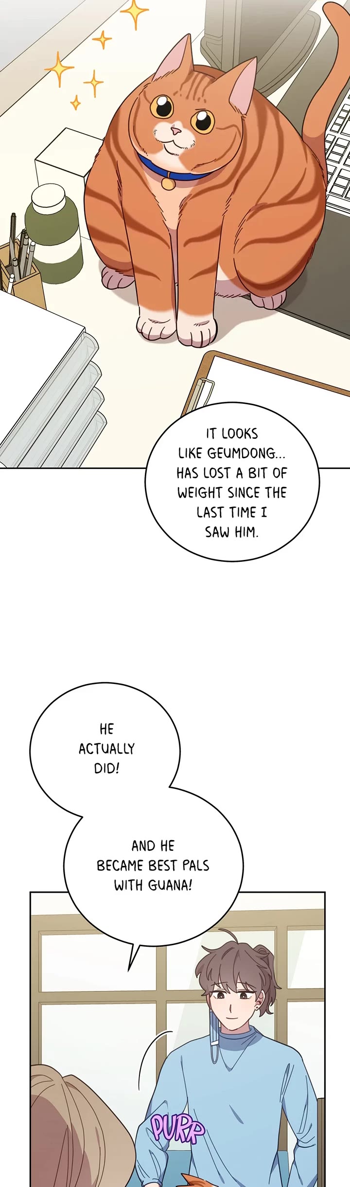 The Legendary Beasts Animal Hospital Chapter 150 page 14 - Chapter 150: Normal-ish