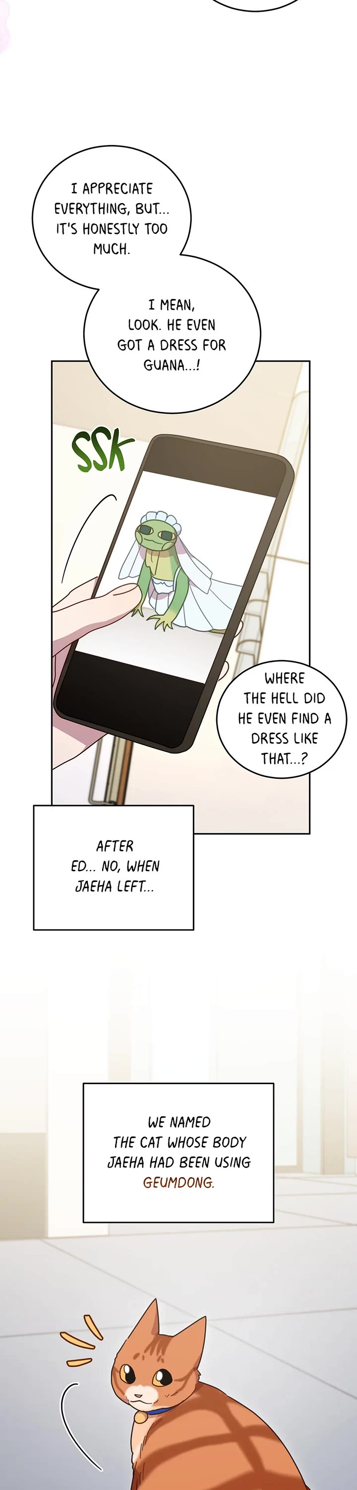The Legendary Beasts Animal Hospital Chapter 150 page 18 - Chapter 150: Normal-ish