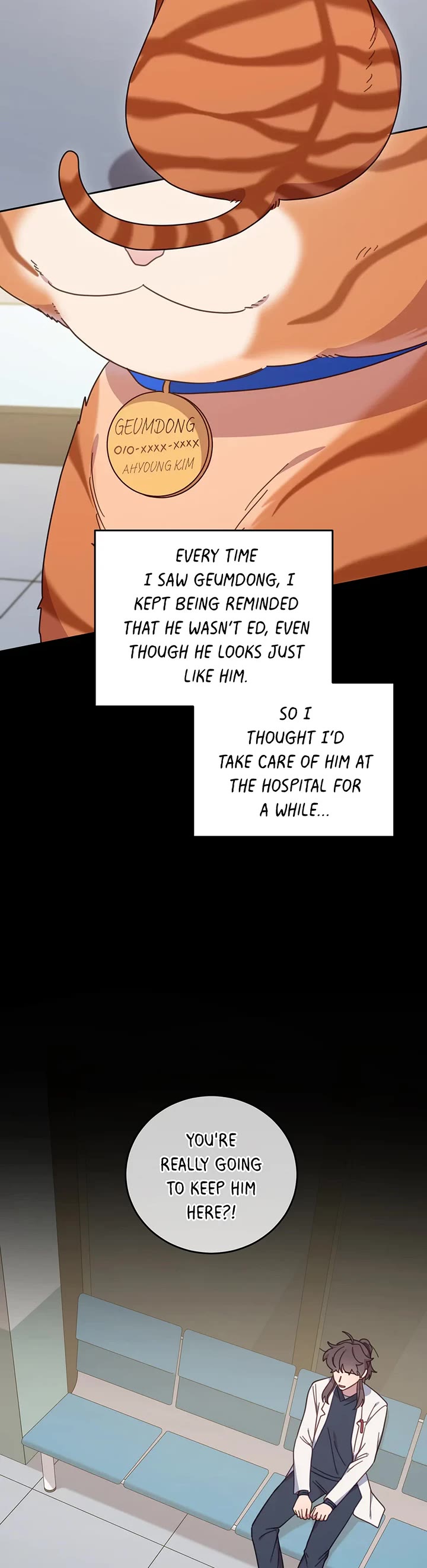 The Legendary Beasts Animal Hospital Chapter 150 page 19 - Chapter 150: Normal-ish