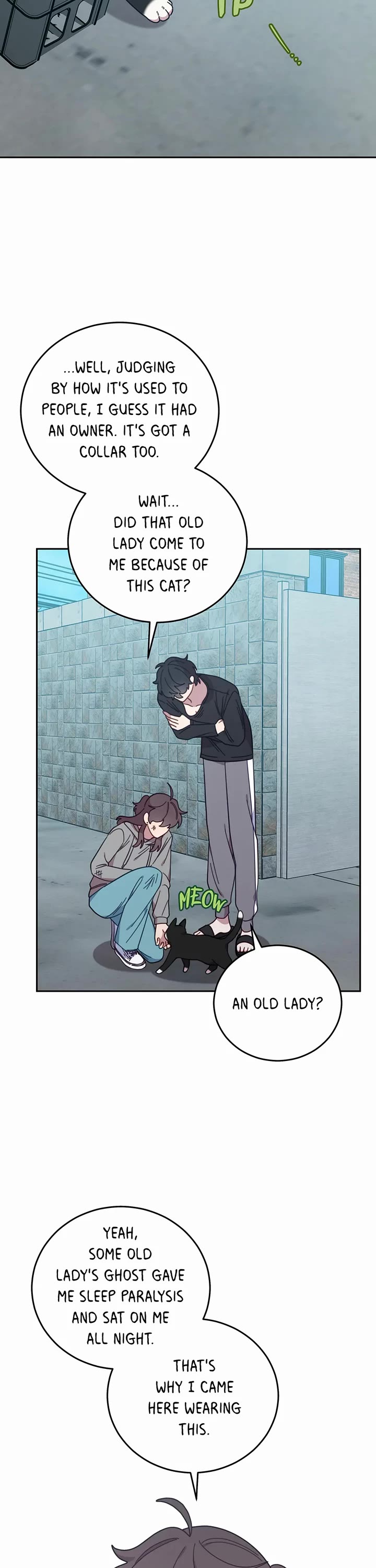The Legendary Beasts Animal Hospital Chapter 151 page 17 - Chapter 151: The Wedding Day