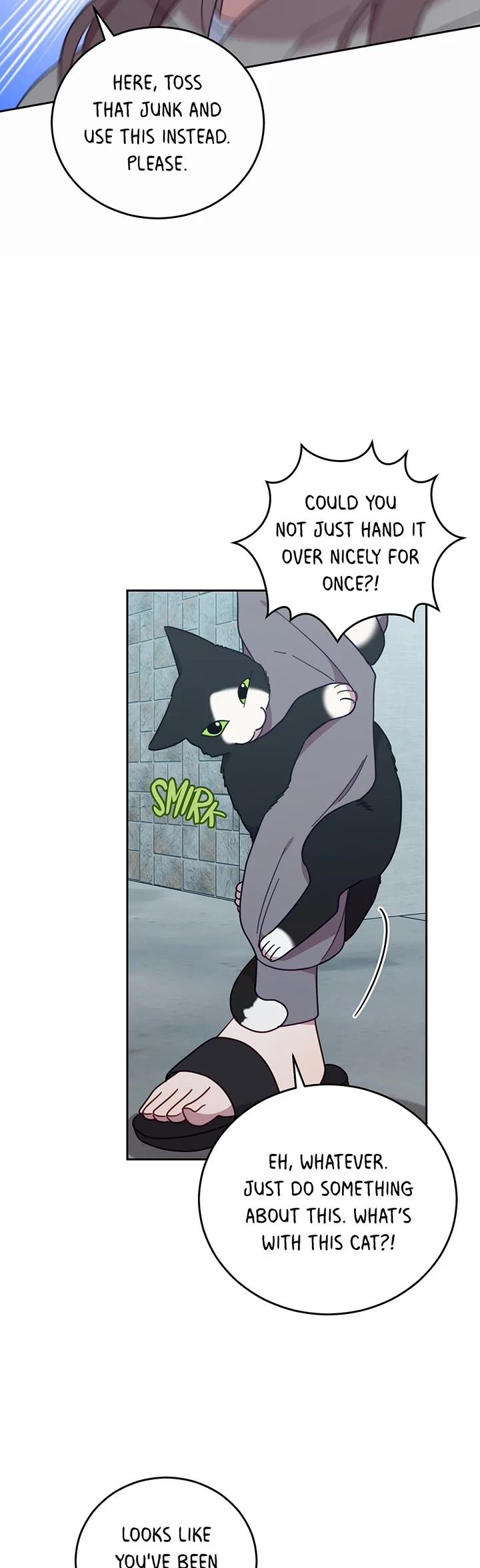 The Legendary Beasts Animal Hospital Chapter 151 page 19 - Chapter 151: The Wedding Day