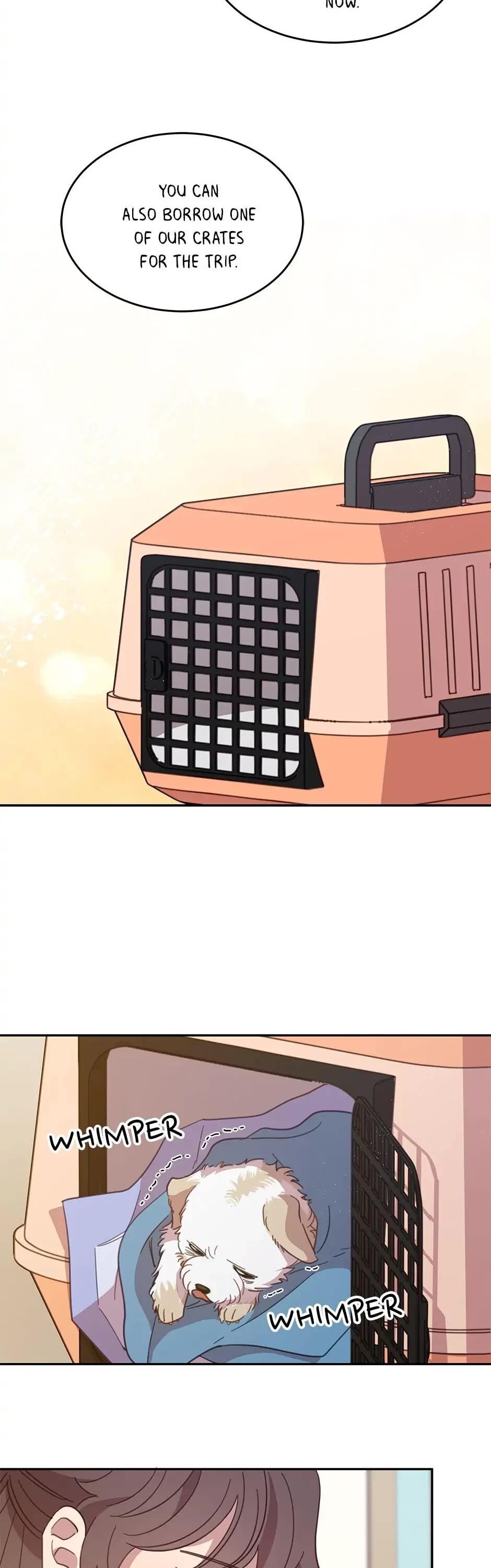 The Legendary Beasts Animal Hospital Chapter 19 page 7 - Chapter 19: Who Are We to Say