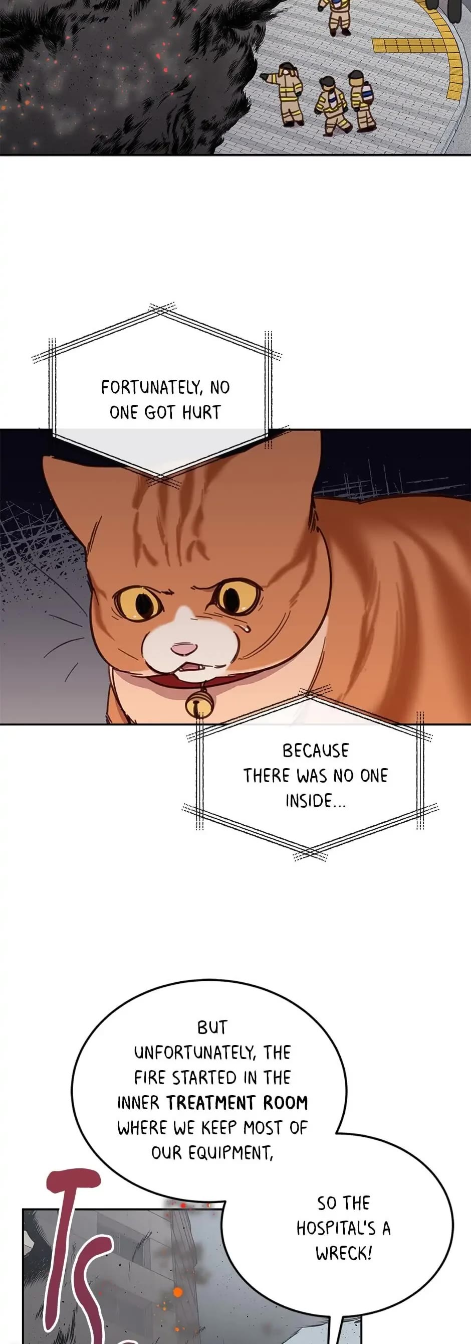 The Legendary Beasts Animal Hospital Chapter 28 page 10 - Chapter 28: An Emergency