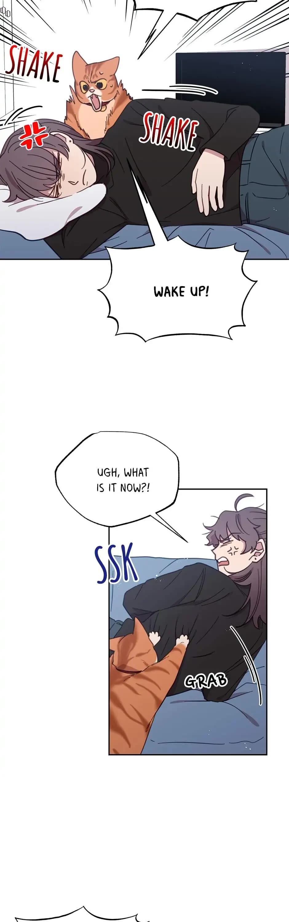 The Legendary Beasts Animal Hospital Chapter 28 page 12 - Chapter 28: An Emergency