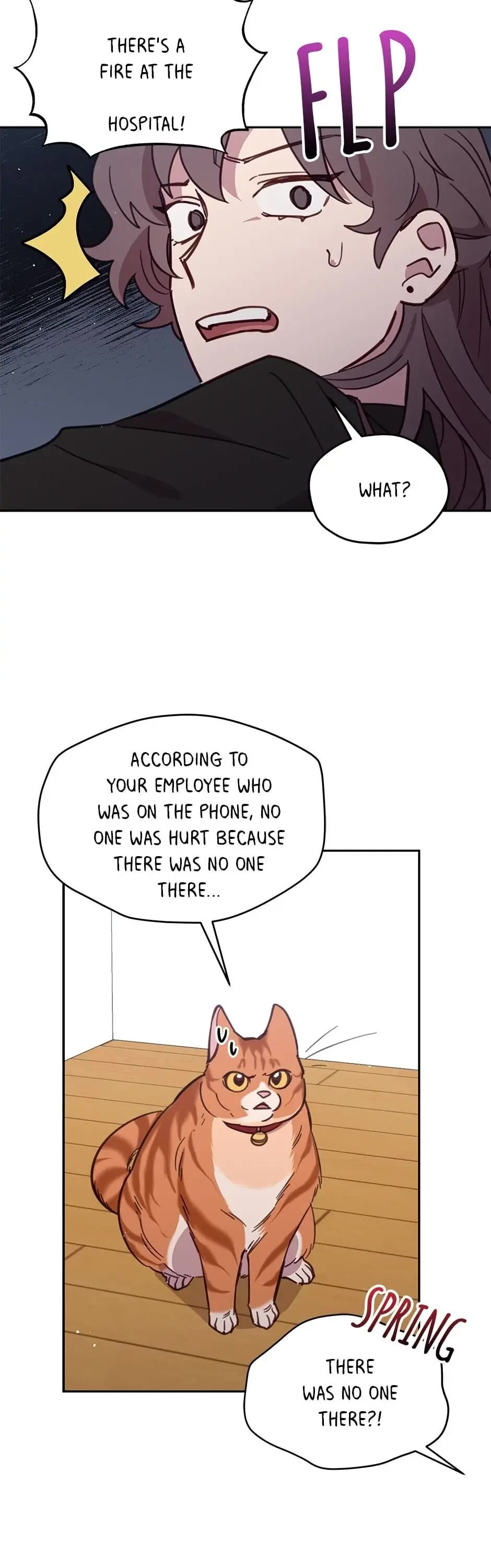 The Legendary Beasts Animal Hospital Chapter 28 page 13 - Chapter 28: An Emergency