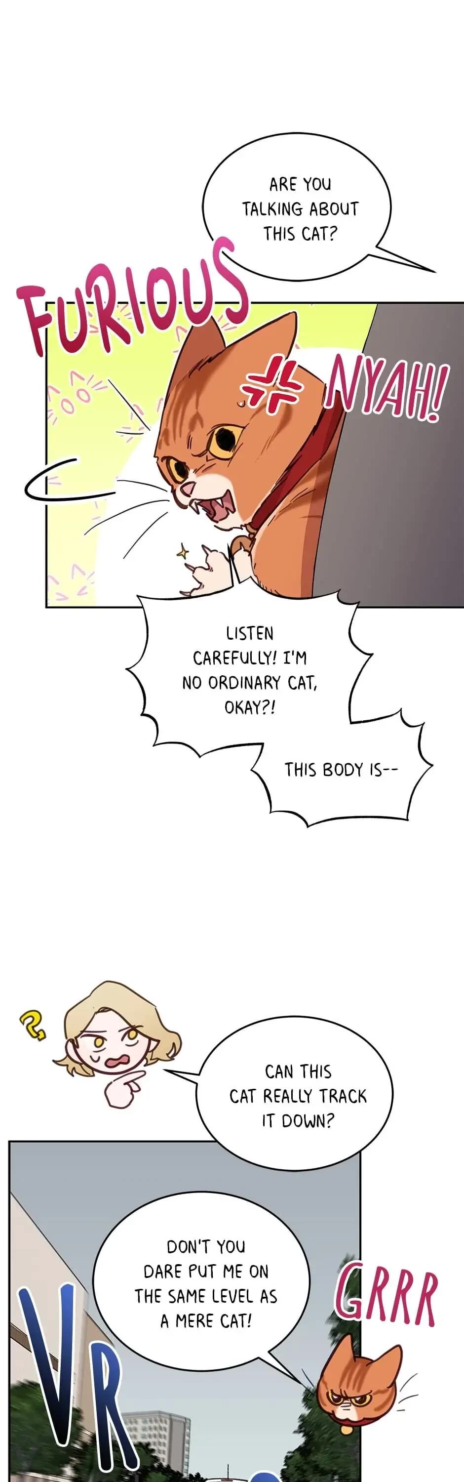 The Legendary Beasts Animal Hospital Chapter 28 page 26 - Chapter 28: An Emergency