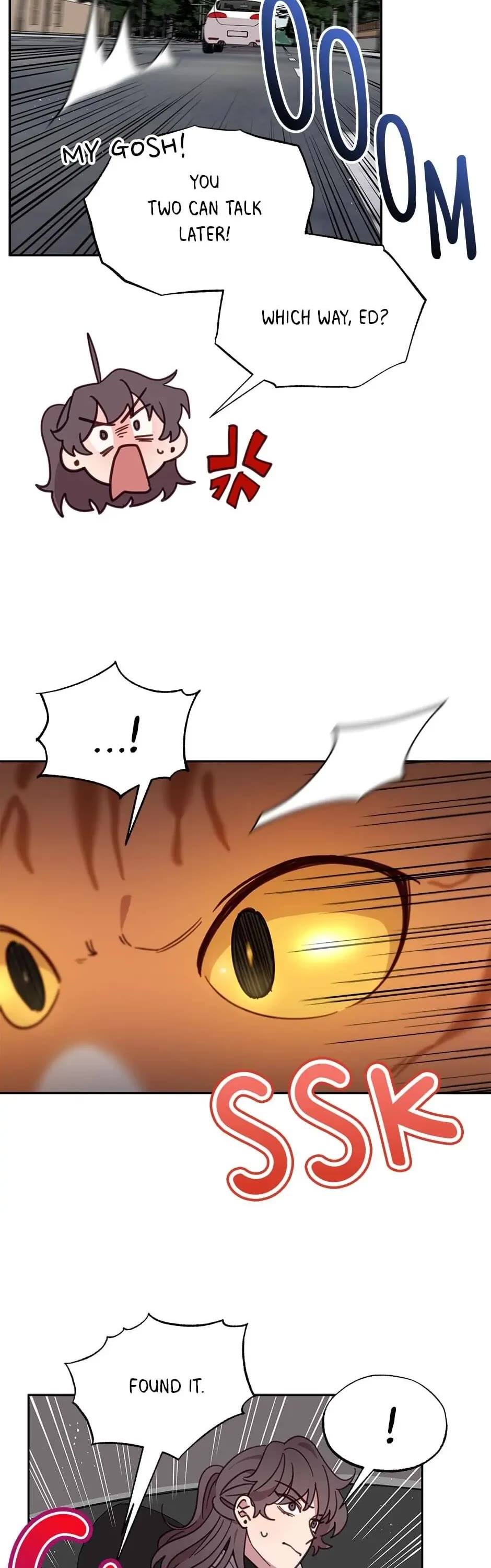 The Legendary Beasts Animal Hospital Chapter 28 page 27 - Chapter 28: An Emergency