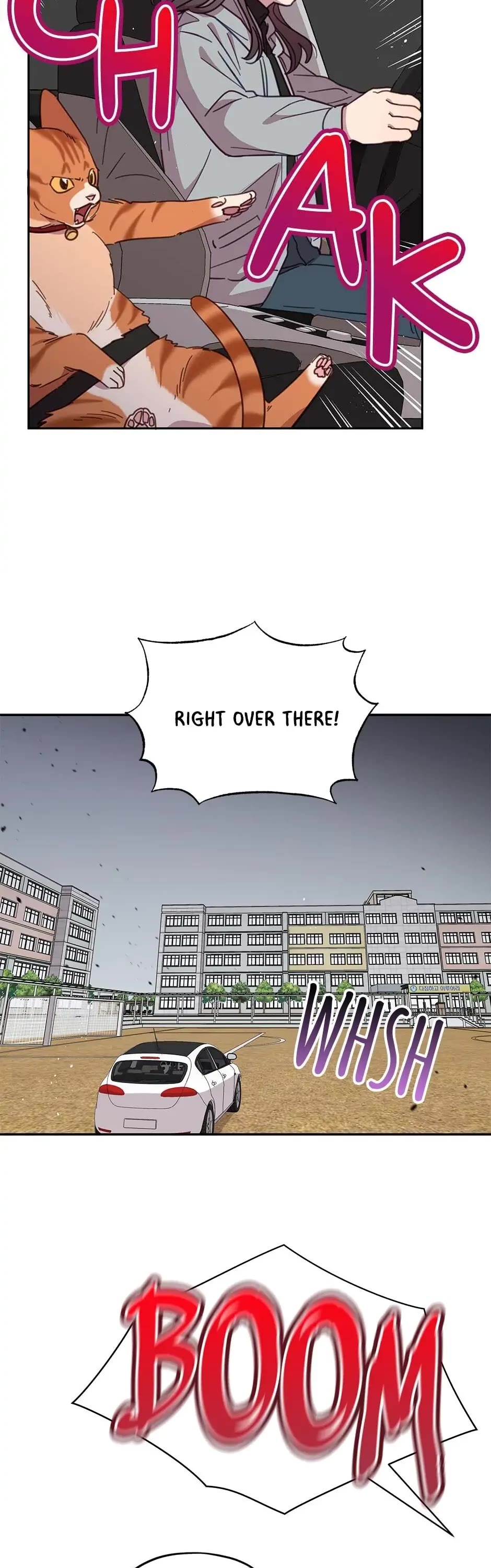 The Legendary Beasts Animal Hospital Chapter 28 page 28 - Chapter 28: An Emergency
