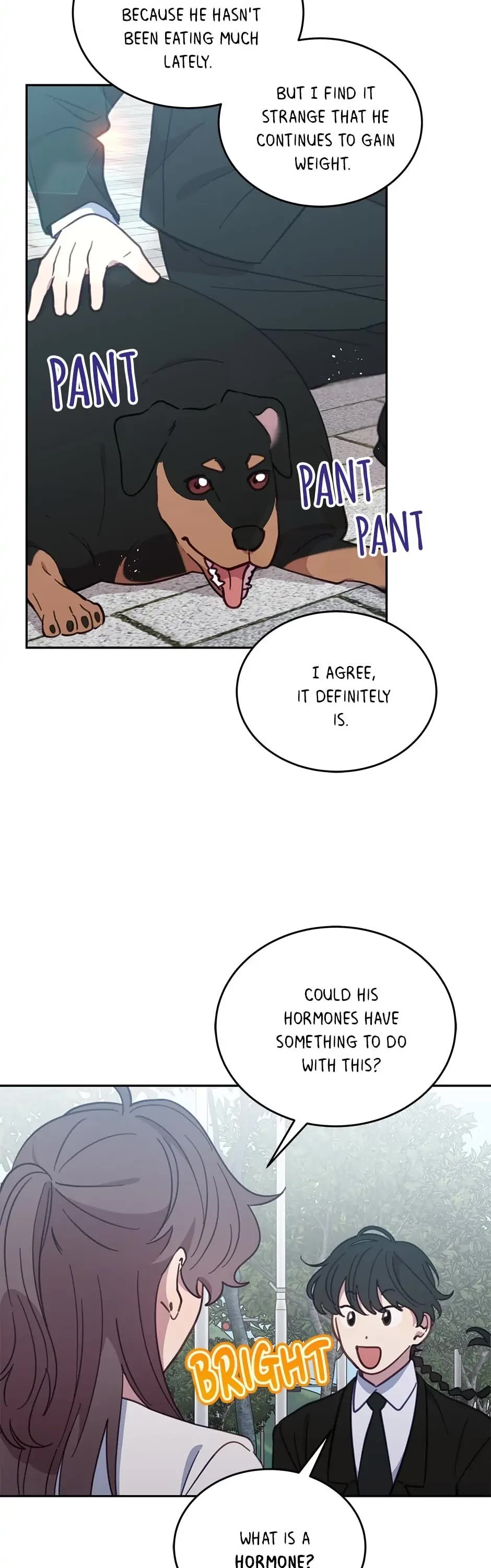 The Legendary Beasts Animal Hospital Chapter 32 page 18 - Chapter 32: Party's Over