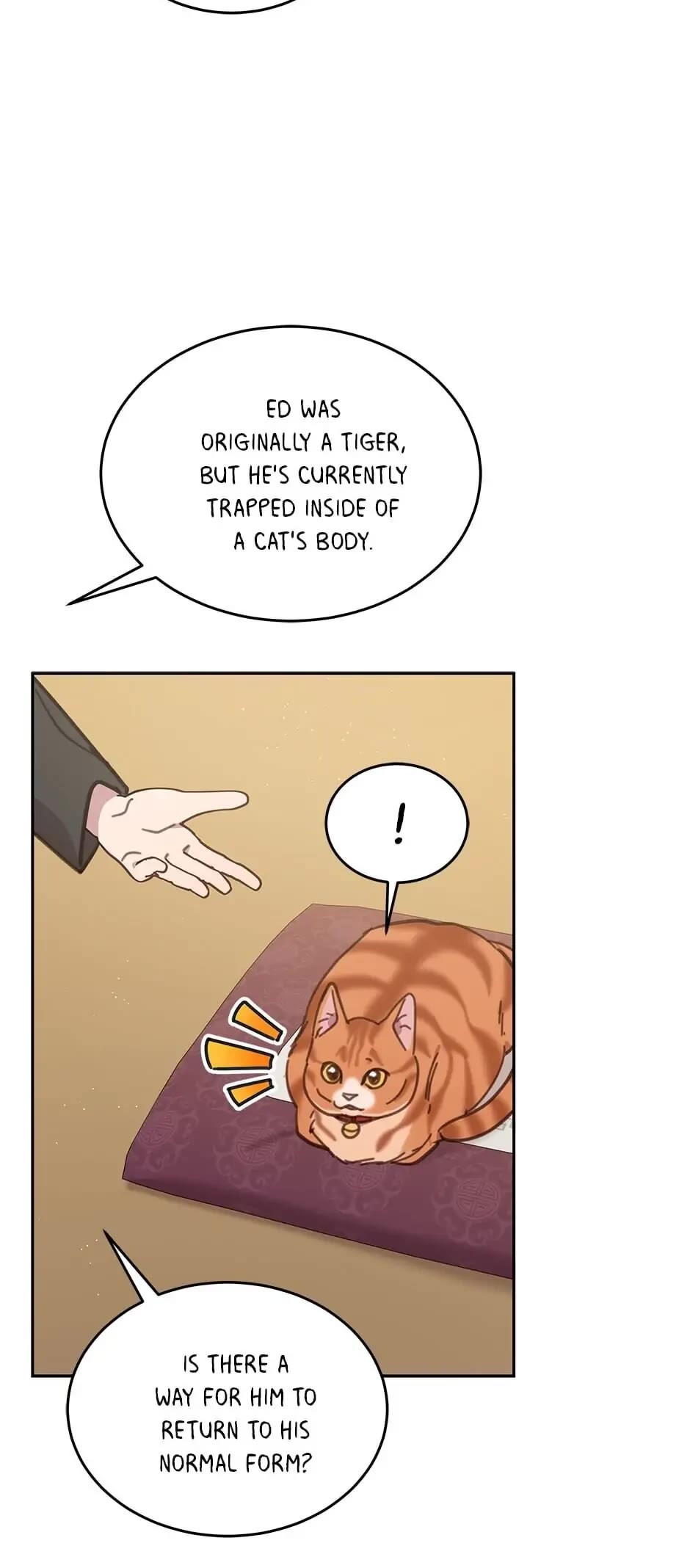 The Legendary Beasts Animal Hospital Chapter 39 page 35 - Chapter 39: The Training Begins!