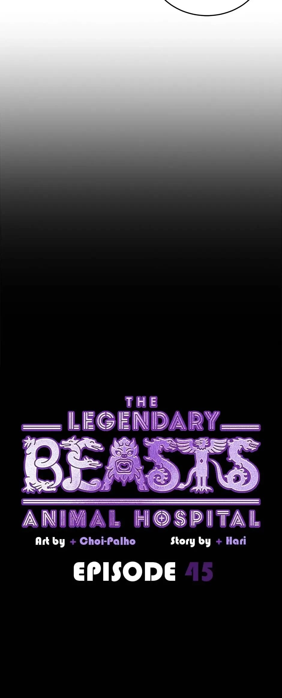The Legendary Beasts Animal Hospital Chapter 45 page 9 - Chapter 45: If That's Really Your Wish