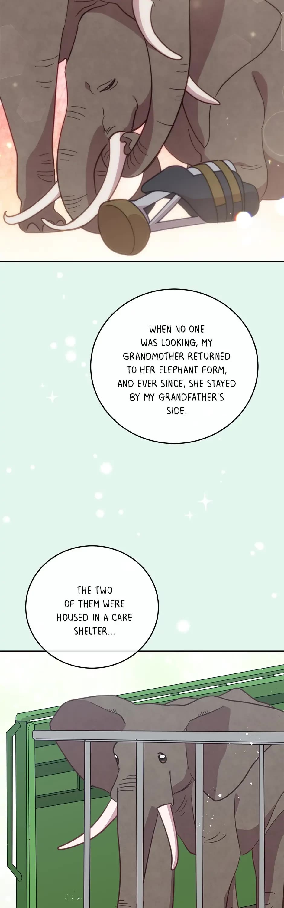The Legendary Beasts Animal Hospital Chapter 56 page 32 - Chapter 56: A Price To Pay